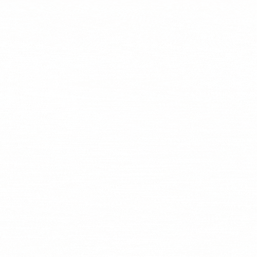 Let Raving Reviews do the rest!